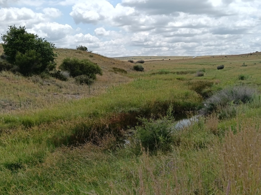 0 Bedroom Property for Sale in Lindley Rural Free State